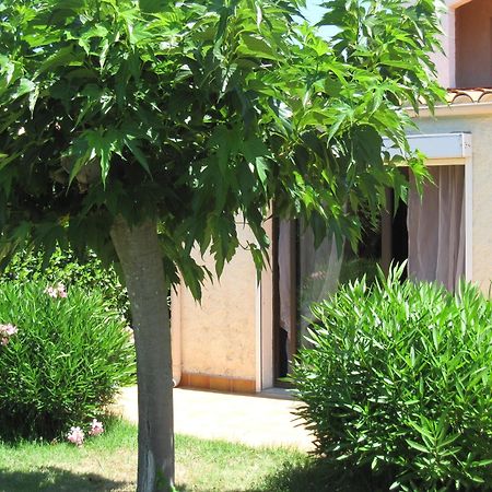 Residence Les Bell'Ombres Cargèse Εξωτερικό φωτογραφία