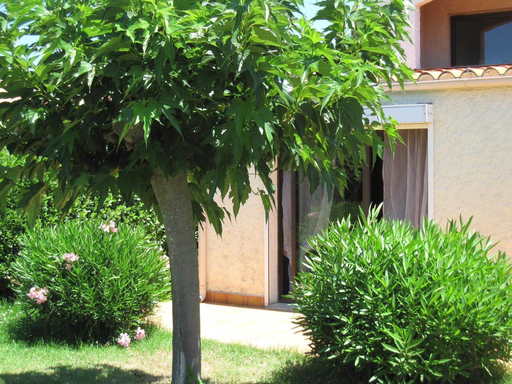 Residence Les Bell'Ombres Cargèse Εξωτερικό φωτογραφία